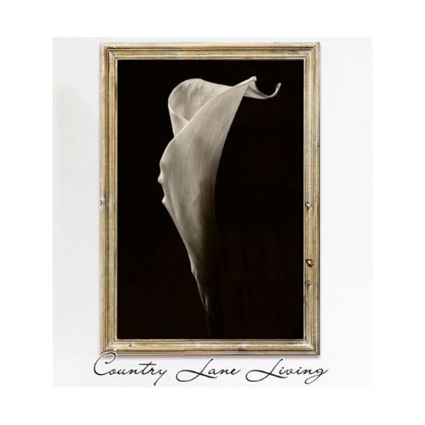 Silly Calla Lily Image Download - Black and White Vibrant Photography Art - Print at Home - Printable Instant Downloadable #694