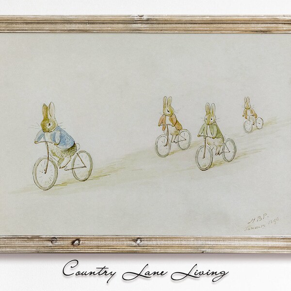 Peter Rabbit Friends - Etsy