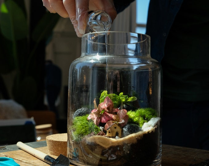 Terrarium DIY KIT - Self-sustaining Ecosystem