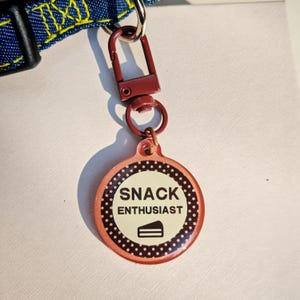 Cute Custom Pet ID Tag,Personalized Funny Dog Tag Cat Tag,Silent Resin Acrylic Tag,Durable Pet Tag,Lightweight Dog Tag,Double Sided Dog Tag