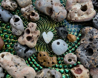 SW Florida Hag Stone: Natural Beach Stone with Hole
