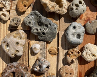 Sanibel Island Hag Stone: SW Florida Witch Stone