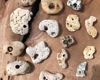Hag Stones, Witch Stones, Adder Stones, Snake Eggs, Hex Stones, Fairy Stones, Holy Stones, SW Florida, Local Stones, Same Day Shipping