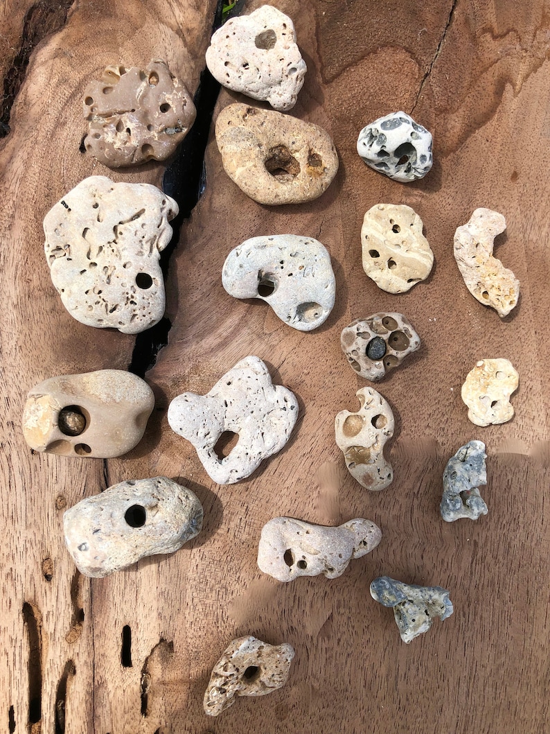 7 Natural Hag Stones Lot Unque Wtches Hagstones Holey Odn Stone Holy