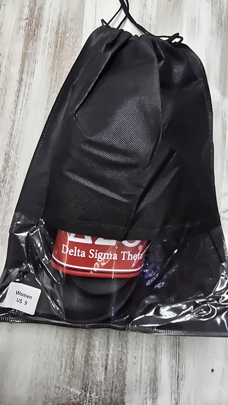 Delta sigma theta Slides image 3