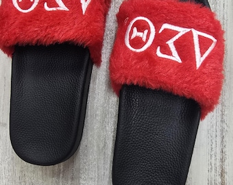 Diapositivas de delta sigma theta