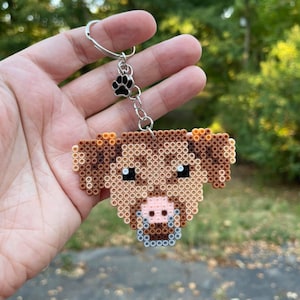 Custom Perler Bead Pet Portraits