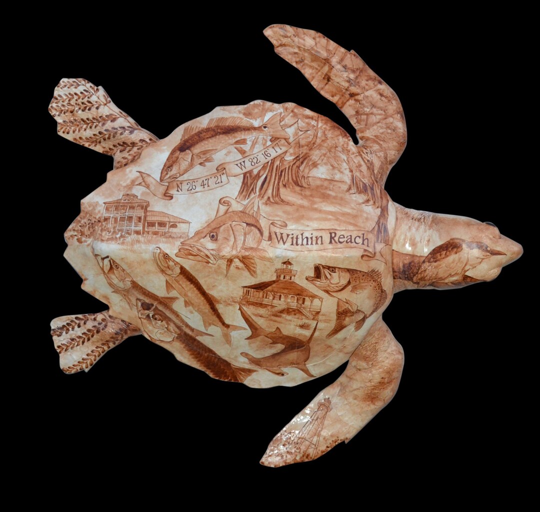 Turtle Shell Mounts Custom Tattooed Turtle Mount - Etsy