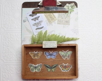 Butterfly photograph holder Photo Wall art Upcycled Cigar box Ferns Scientific Collage Cottage decor BOHO Framed butterfly Home decor