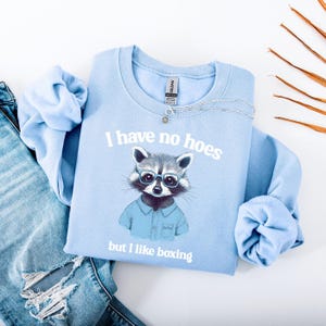 Könnte beinhalten: Hellblaues Sweatshirt mit dem Text "I have no hoes but I like boxing" und einem Waschbären mit Brille. Das Sweatshirt wird mit einer blauen Jeans und einer silbernen Halskette kombiniert.