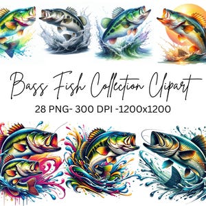 Colección de imágenes prediseñadas de peces saltadores de acuarela, 28 imágenes prediseñadas de peces PNG, peces lubina divertidos, peces pescadores PNG, paquete de imágenes prediseñadas de peces, uso comercial