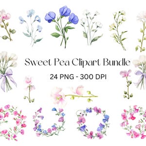 Süße Erbse Clipart, 24 Aquarell Blumen PNG, digitaler Download für kommerzielle Nutzung, druckbare Blumenkunst
