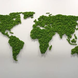 Mapa del mundo de Moss