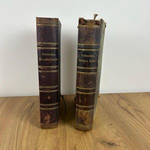 Old Antique Book History of the Earth M. Neymayr 1902 2 volumes Original RARE Russian Empire