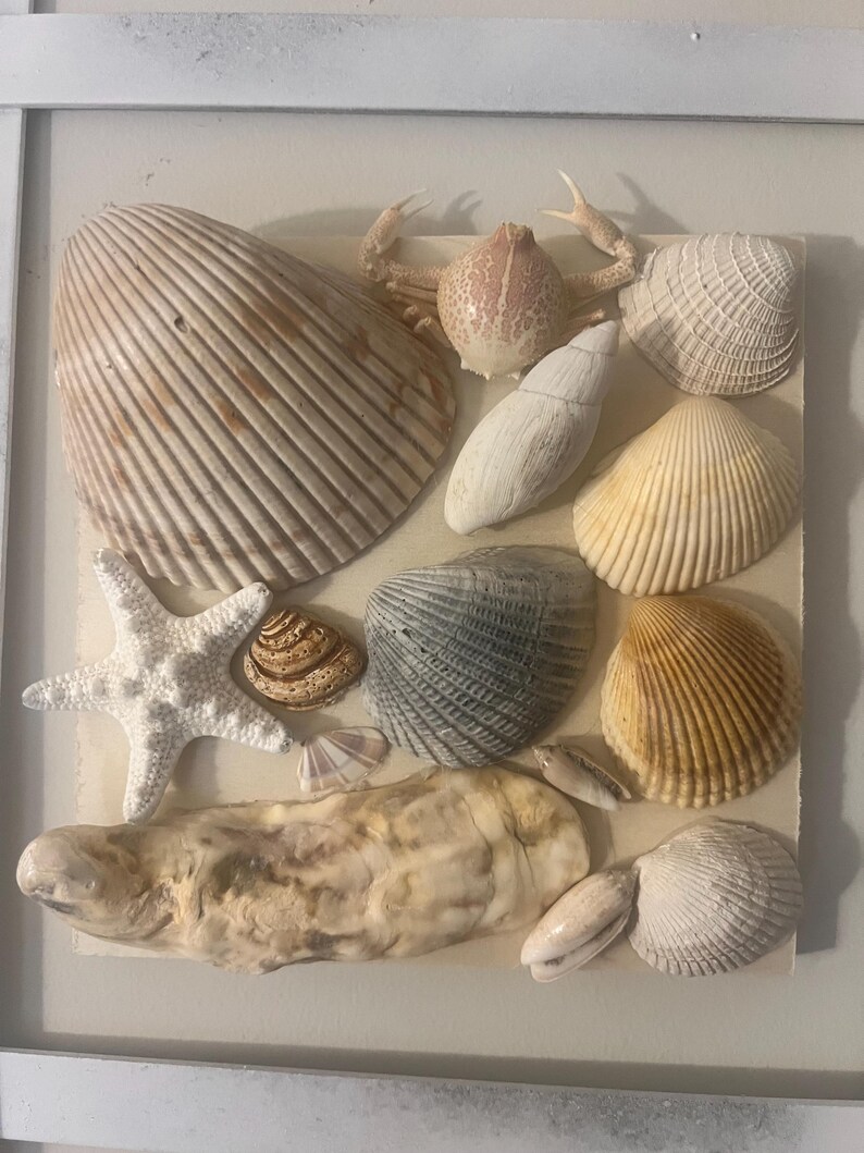 Custome Seashell Boards - Etsy