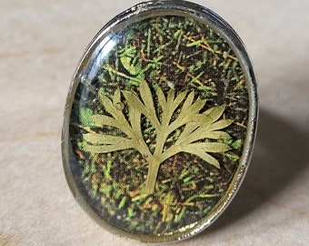 Artemesia Leaf Encapsulated in Resin on Silver-plated Oval Adjustable RingAmulet, Protection, Talisman, Luck Botanical Jewelry