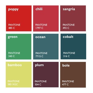 Puede incluir: Una carta de colores con nueve cuadrados que muestran diferentes tonos de rojo, verde, azul, amarillo y marr&oacute;n. Cada cuadrado tiene el nombre y el n&uacute;mero del color Pantone impreso debajo.
