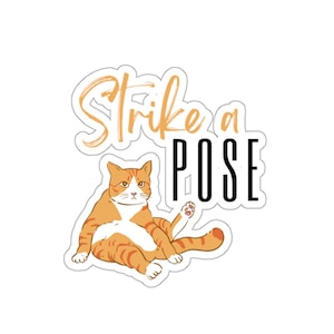 Vinylsticker Strike a Pose, kattensticker, grappige kat, kattenposeren, muziek uit de jaren 80
