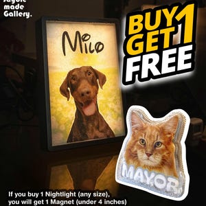 Personalized Pet Photo Night Light: 3D Printed Lithophane, Modern Memorial Gift