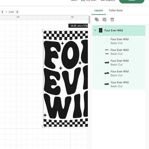 Op de afbeelding: Zwart-wit grafisch ontwerp met de tekst "Four Ever Wild" in een retro stijl op een geruite achtergrond.