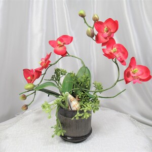 May include: A red orchid plant in a dark brown pot with green foliage and seashells. The plant is on a white lace tablecloth.