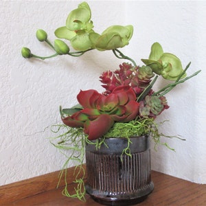 Green Orchid with Red Green Artificial Succulents in Small Petite Pot Faux Floral Arrangement Window Sill, Desk or Gift