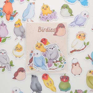 Birdies | Pack de 24 stickers à thème: oiseaux, pour journaling, scrapbooking, appareils électroniques