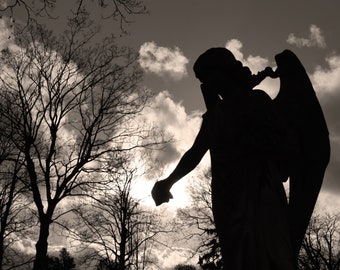 Matted Print 8x10: CLOUD ANGEL - Fine Art 8x10 Print in 11x14 Mat, Angel, Sculpture, Wings, Trees, Nature, Photograph