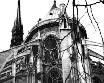 Notre Dame Aglow 8x10 Fine Art Print in 11x14 Mat, Paris, France, French, Gothic