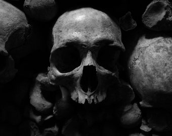 Matted Print 8x10: LE MORT - Fine Art 8x10 Print in 11x14 Mat, Skull, Gothic, Skeleton, Cemetery