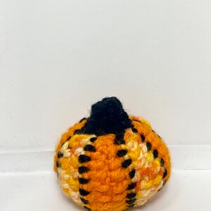 Pu&ograve; includere: Una piccola zucca all'uncinetto con un gambo nero. La zucca &egrave; arancione, bianca e gialla con accenti neri.
