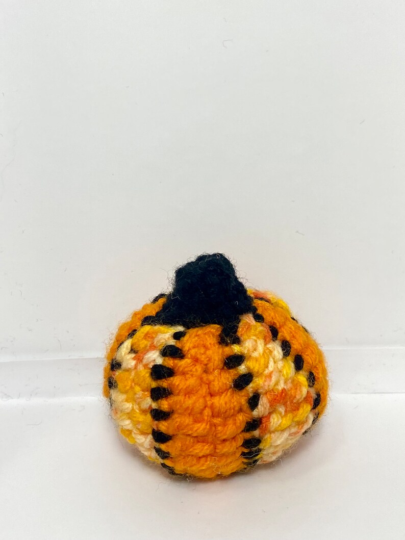 Pu&ograve; includere: Una piccola zucca all'uncinetto con un gambo nero. La zucca &egrave; arancione, bianca e gialla con accenti neri.