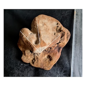 Peut inclure: Une pierre irrégulière et patinée avec une surface rugueuse et texturée. La pierre est principalement brun rougeâtre avec des taches plus claires et plus foncées. Une règle est visible sur le bord droit, pour l'échelle.