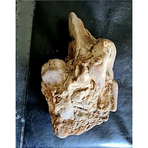 May include: A weathered, light brown rock with a rough, textured surface. The rock has a unique shape with rounded and pointed sections. A ruler is visible in the background, providing scale. The rock's color is a mix of tan and light brown.