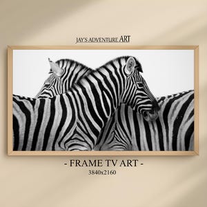 Samsung Frame TV Art - 4K Zebra Abstract Frame TV Artwork - Frame TV Abstract Art - Smart Tv Art - Samsung Tv Art - Lg Frame Tv Artwork
