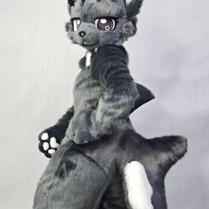 May include: A gray and black furry fursuit of a cartoon fox-like character. The fursuit has large eyes with star-shaped pupils, a white chest, and a fluffy tail with a white tip. The character is wearing black accessories on its head.