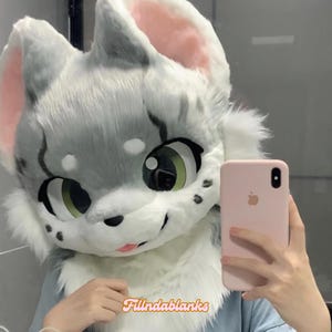 Cute Gray Pudding Cat Fursuit Head, Custom Fursuit Head, Kenomo Theme Party, Fursuit Mask, Fantasy Creature, Furry, Fursuit Fans, Cosplay