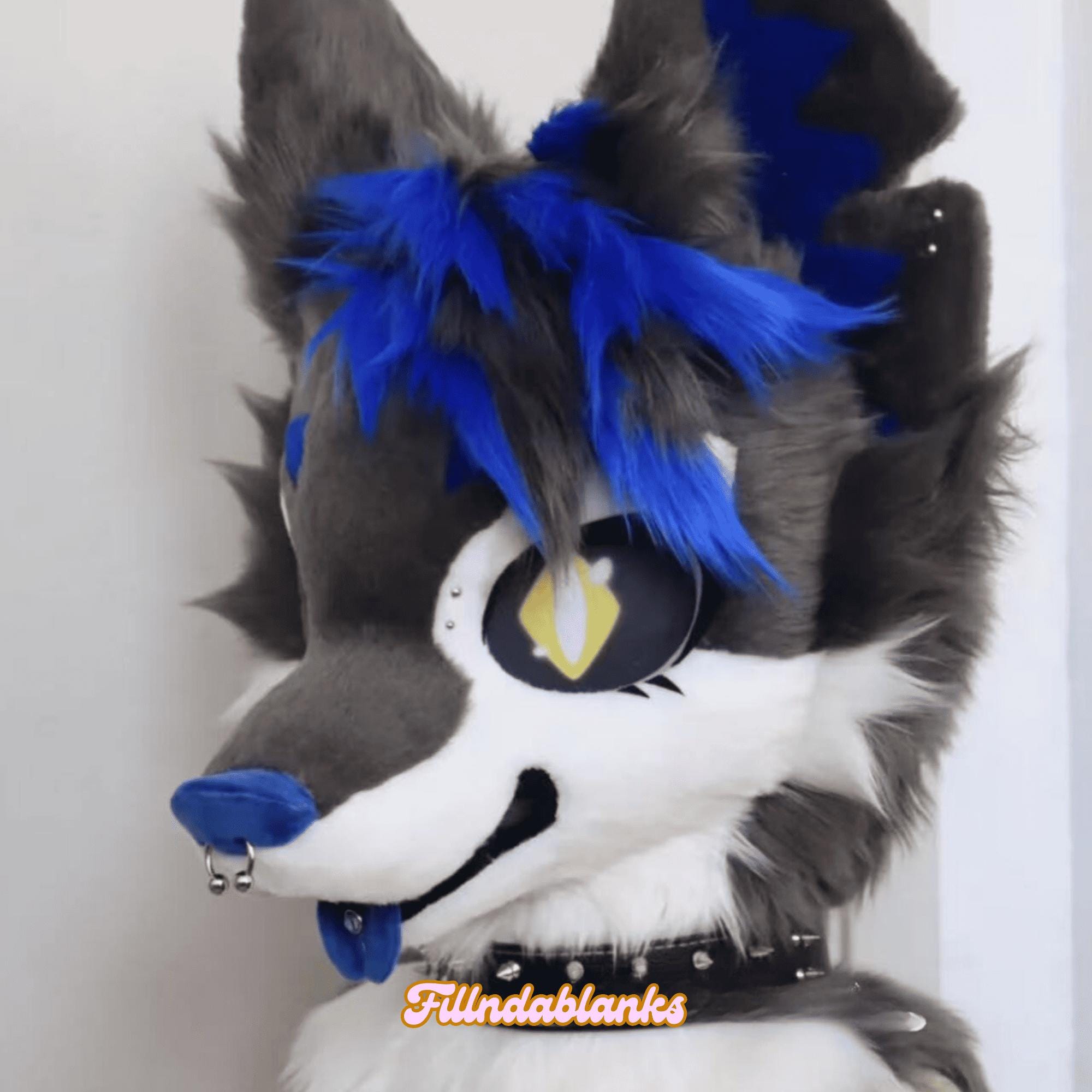Melancholy Blue Rose Dog Fursuit Head, Custom Fursuit Head, Kenomo Theme Party, Fursuit Mask, Fantasy Creature, Furry, Fursuit Fans, Cosplay