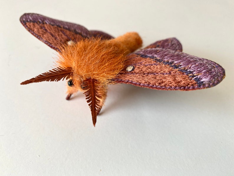 Your Choice of Brooch Embroidered Oakworm Moth Headband or Wall Display Hair Clip