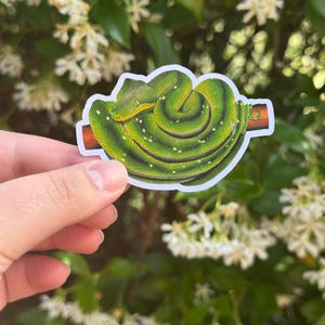 Pode incluir: Uma cobra verde enrolada em um galho. A cobra tem um corpo verde claro com marcas verde escuro. A cobra é um tema popular para a fotografia da natureza e é frequentemente vista nas florestas tropicais.