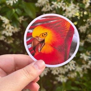 Sticker Phoenix, beaux-arts, animaux et créatures, vinyle autocollant, dessiné à la main avec des marqueurs d'encre à alcool