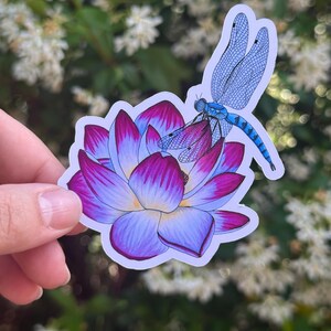 Dragonfly Sticker, Fine Art, Animals and Creatures, Vinyl Sticker, hand drawn with alcohol ink markers