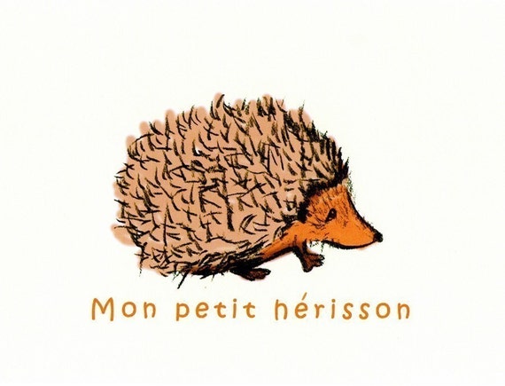 photo Hedgehog Images For Kids etsy