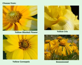 Yellow Flower Photo Cards. Coreopsis, Blanket Flower, Iris and Sneezeweed.