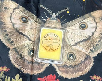 Pastillas de cera aromáticas artesanales con aroma a calabaza y especias – Fragancia otoñal para el hogar