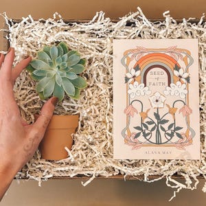 Scatola della benedizione delle piante succulente / Regalo di piante succulente viventi / Regalo cristiano / Incoraggiamento alla fede e alla speranza