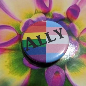 Schwul und Transgender Ally