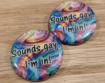 Sounds Gay, I'm In Pinback Button/Badge