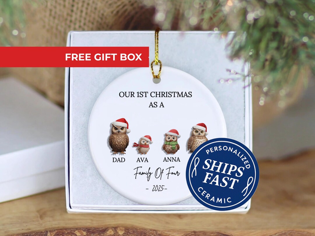 3-D Family of Four Owls Ornament - Custom Family of 4 Owl Keepsake ...