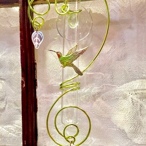 Hummingbird Gift for Bird Lover and Nature Lover. Glass Suction 6 inch Test Tube Bud Vase for Window. Dried Flower arrangement included. image 6